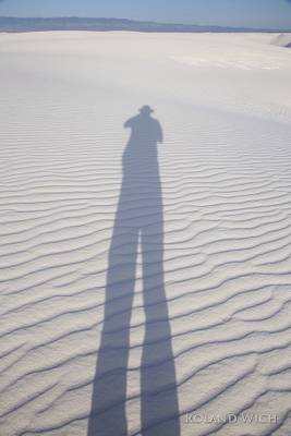 Giants in the desert