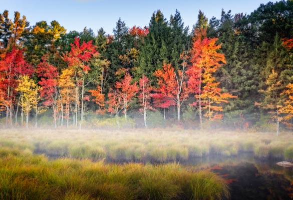 The Beauty of Fall*