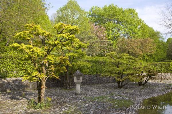 Munich - Japanese Garden