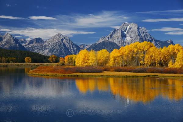 Oxbow Bend
