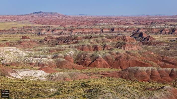 Painted Desert