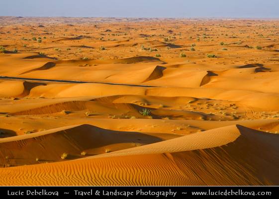 United Arab Emirates - Dubai Emirate - Desert Safari in Sand Dunes