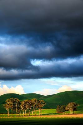 Trees and Green Hills (tall version)