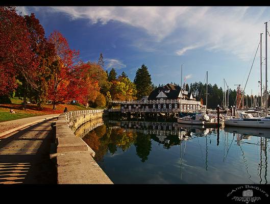 Fall colours in Stanley Park, Vancouver, Canada