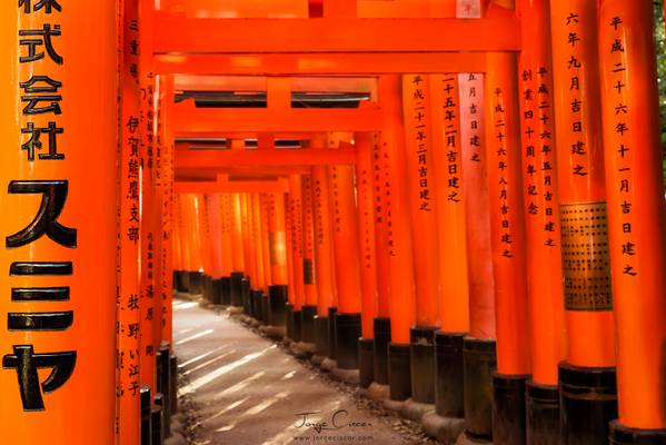 Fushimi Inari Taisha toriis 3