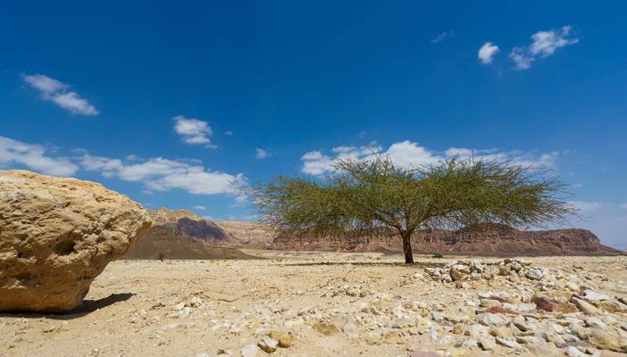 Israel, Wüste Negev, Timna Park