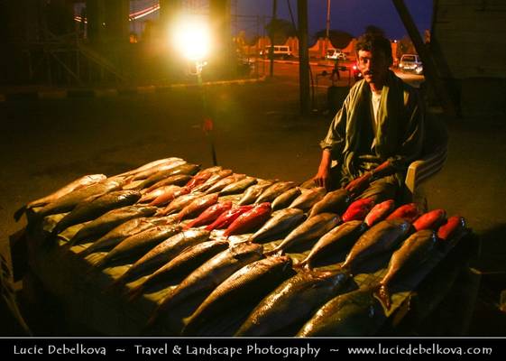 Yemen - Aden - Fish market by nigh