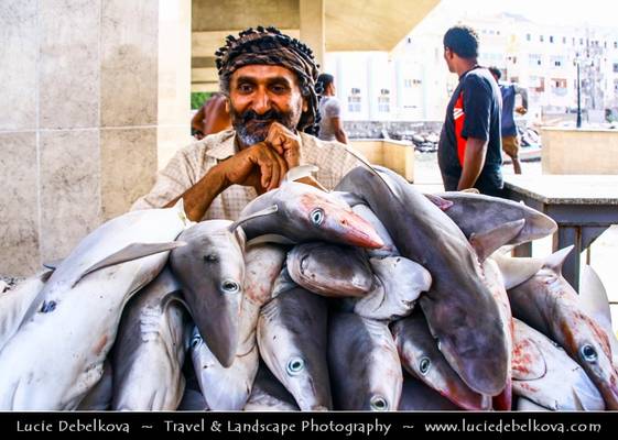 Yemen  - Aden - Fish Market - Fisherman & his sharks