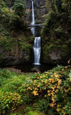 Multnomah Falls