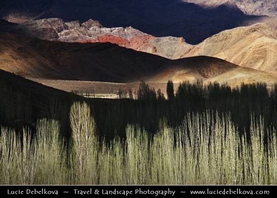 Iran - Colors of Karkas mountains