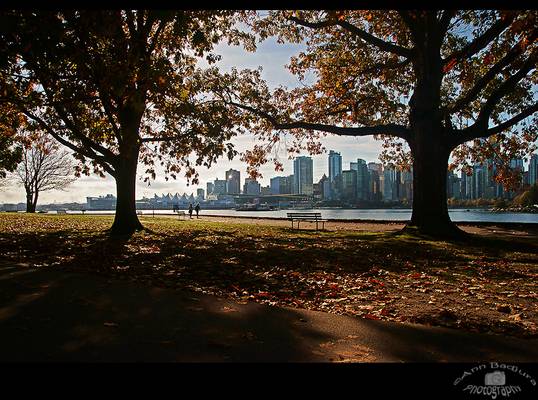 Fall along the Stanley Park seawall in Vancouver, Canada