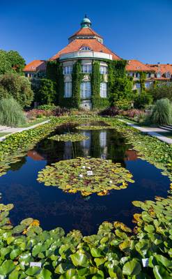 _MG_5295_web - Munich botanical garden