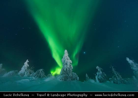 Finland - North of the Arctic Circle - Finnish Lapland under fresh cover of snow & Aurora borealis - Northern lights