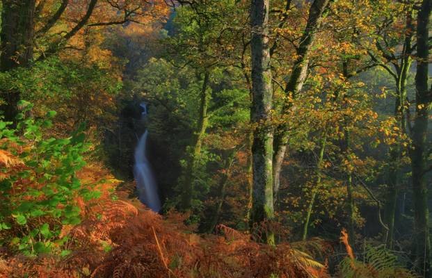 Autumn Colours at Aira Force