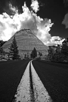 The Road to Checkerboard Mesa, Zion NP
