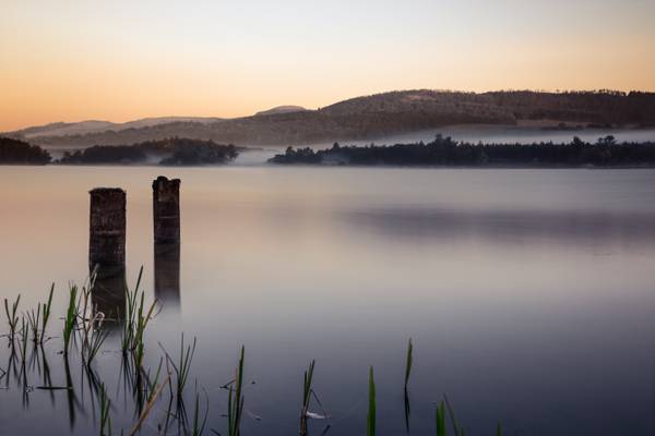 Misty Morning