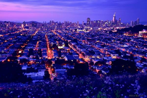 Cityscape of San Francisco