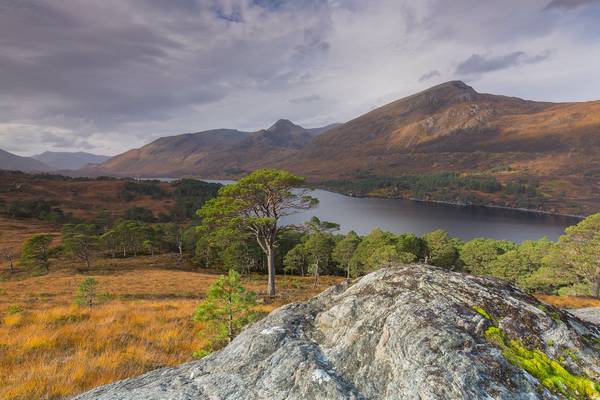 Glen Affric View.