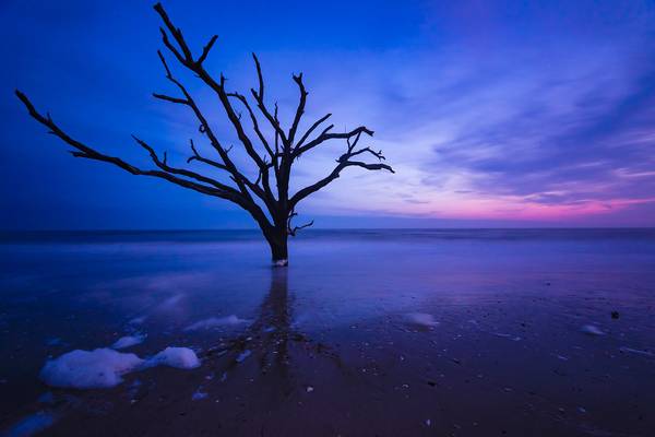 Botany Bay