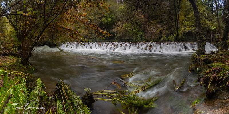 _MG_2443-Pano-1