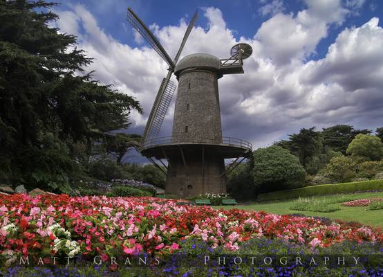 A host of assorted flowers were all in bloom, making the place sing.