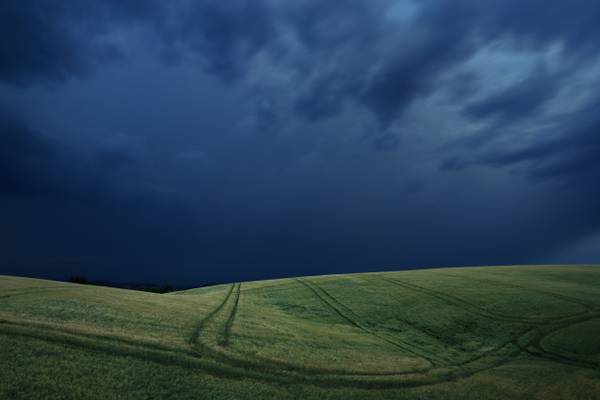 The storm and the wheat field