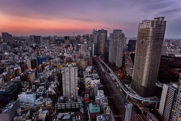 Tokyo Dusk