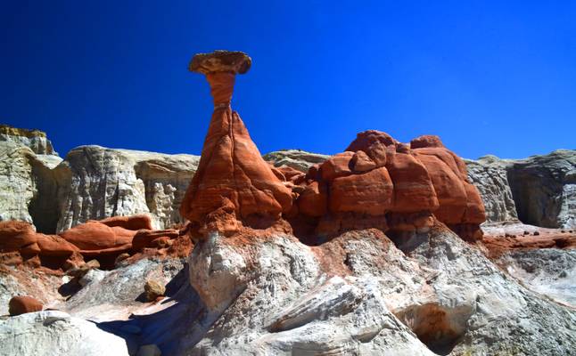 The Toadstools Grand Staircase Escalante NM UT