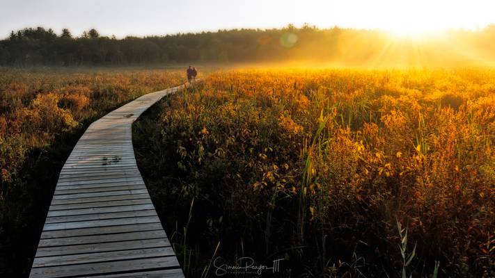 Walking on Sunshine