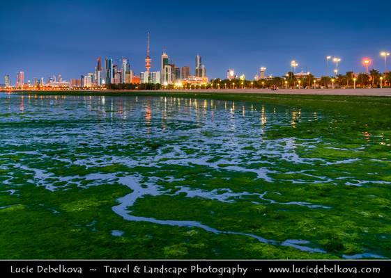 Kuwait - Kuwait City - Skyline from Al-Shuwaik during low tide with green sea-weed