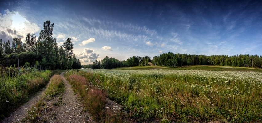 Flower fields