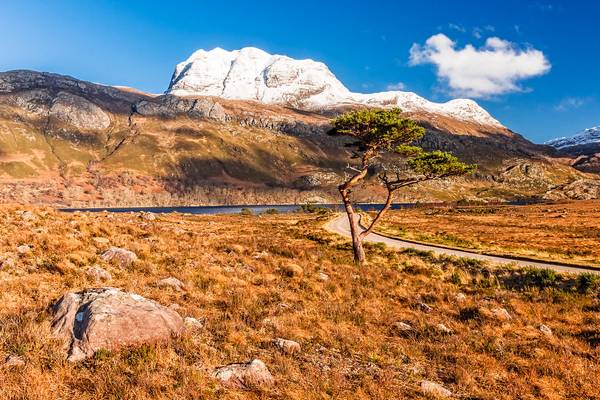 Pining for Slioch