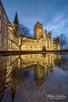 The cathedral & the puddle ...