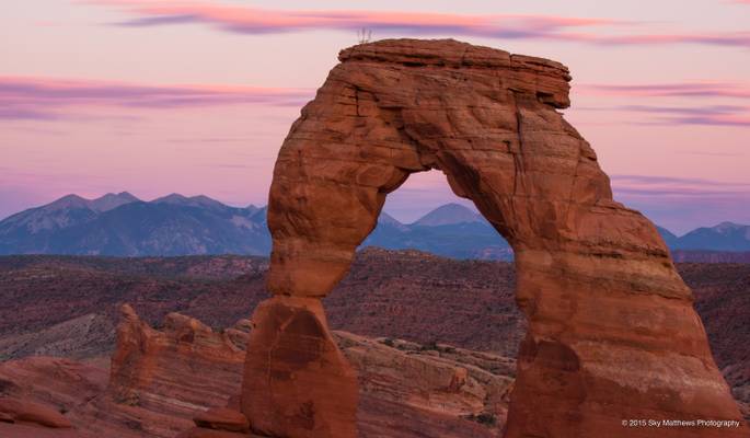 A Mauvy Shade of Pinky Russet [explored]