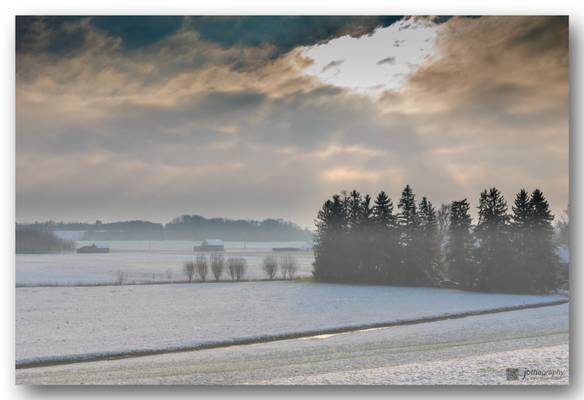 Foggy winter morning