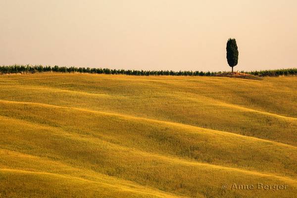 the country of cypress