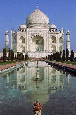 The photo everybody takes