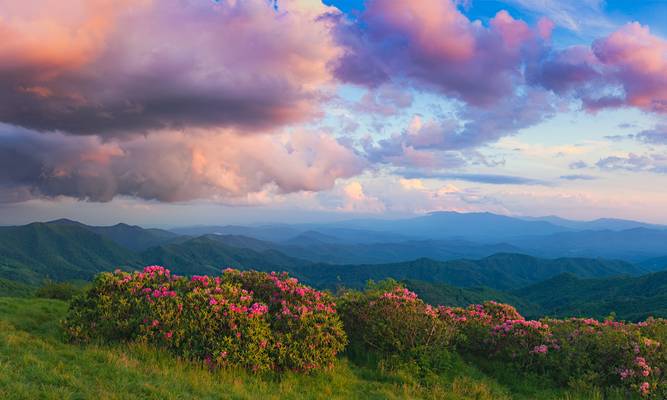 Last Light On Jane Bald