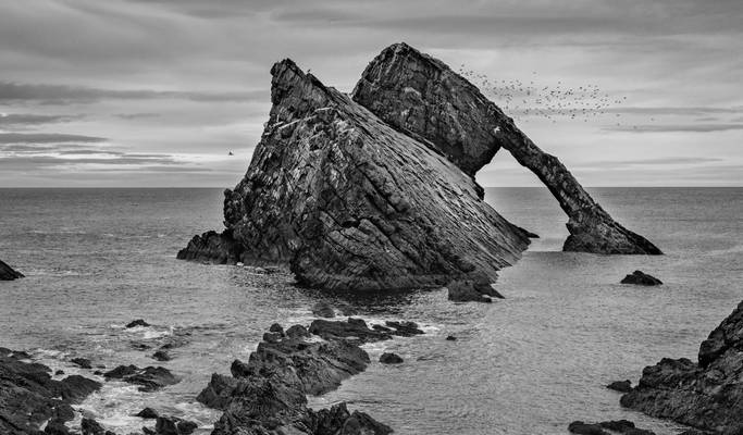 Bow Fiddle Rock