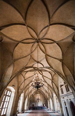 _MG_4410_web - Vladislav Hall at Prague Castle