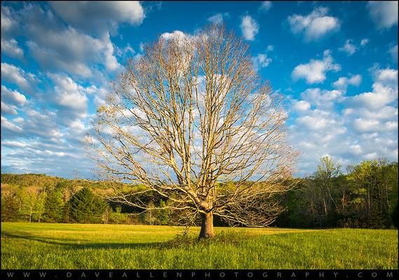 Cades Cove Great Smoky Mountains Scenic Photography