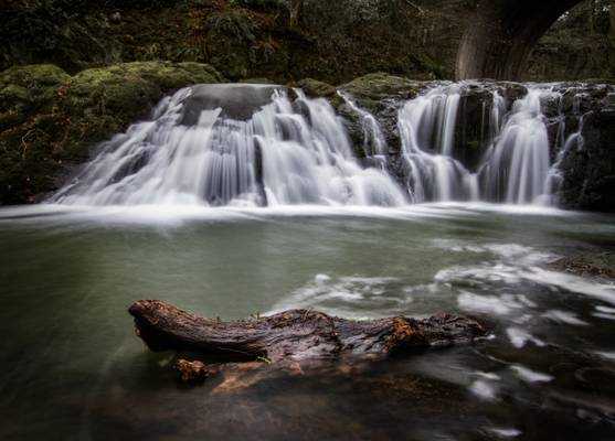 Arbirlot Falls