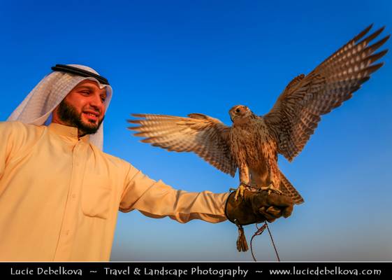 Kuwait - Kuwaiti Desert - Falcon and its falconer