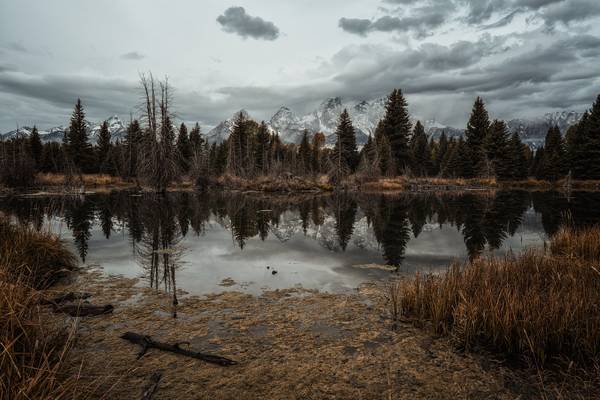 Down at the lake