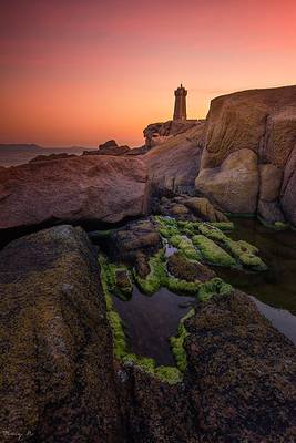 The Awakening of His Majesty