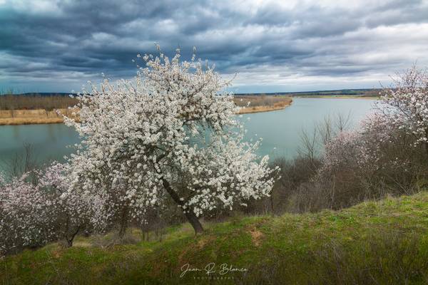 Senda de los Almendros | Castronuño | 2022