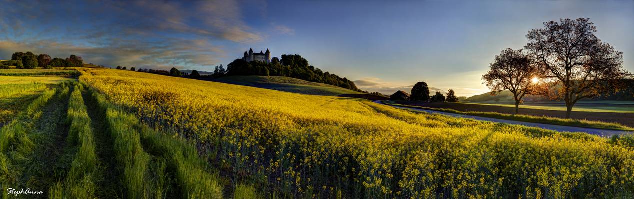 Lever de soleil sur Champvent