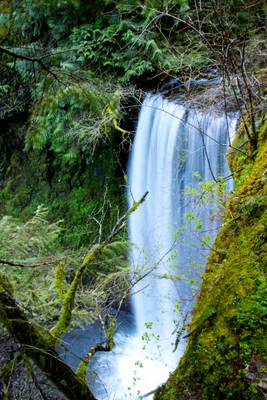 Ecola Falls, Oregon