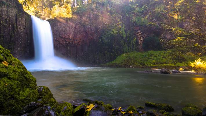 The Land Before Time