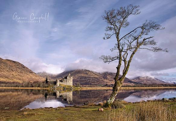 Kilchurn Tree